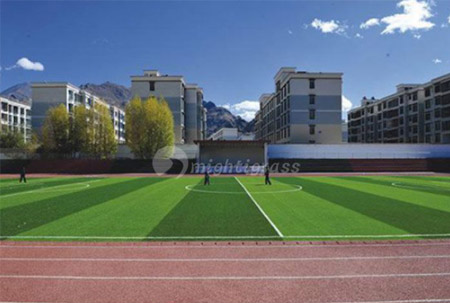 Artificial Grass for Football Field