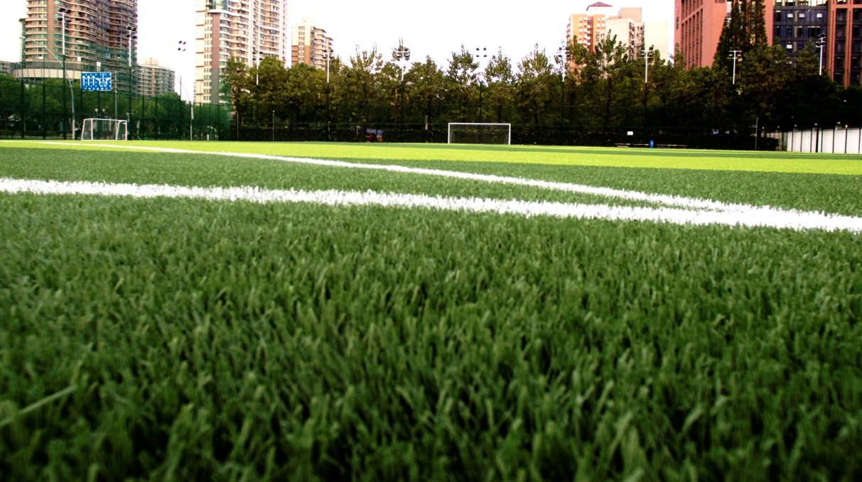 Recyclable Artificial Grass