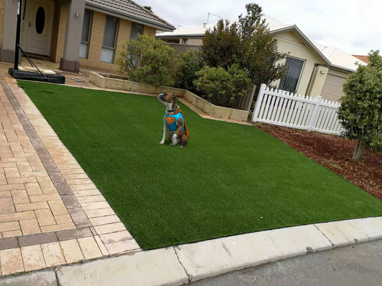 How to choose artificial turf for Pets
