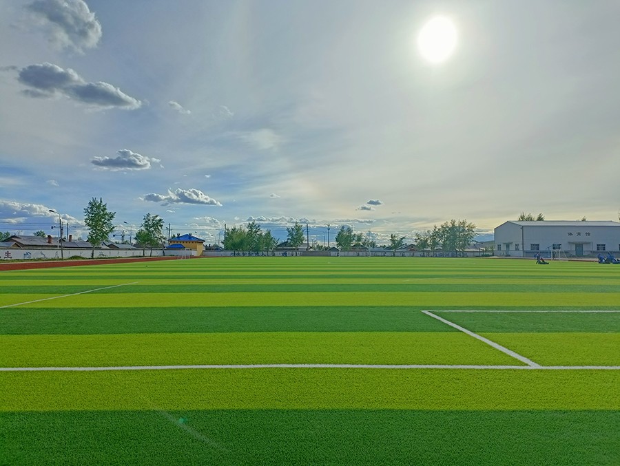 Why Use Artificial Turf?