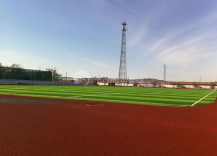 Artificial Grass for Football, MT-Peace